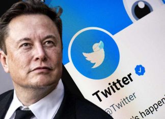Musk Planning To Allow Blue Tick For $20 & Bring Back Vine
